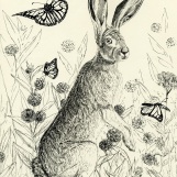 Hare Among the Monarchs